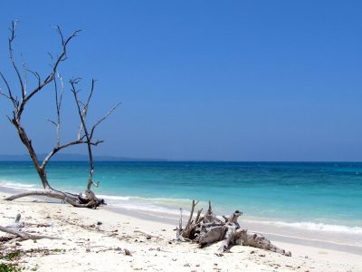 Andaman_Kalapathar_Beach_Main